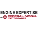 Federal-Mogul Motorparts